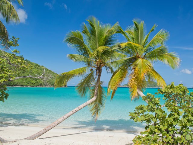 CARIBE CRUCEROS ST JOHN CRUISES US VIRGIN ISLANDS ISLAS VIRGENES CARIBBEAN CRUISES SAINT JOHN ST JOHN CRUISES BEACH CRUISES NATURE CRUISES CARIBBEAN BEACHES ST JOHN BEACH #Caribe #Caribbean #CrucerosCaribe #CaribbeanCruises #StJohnCaribe #SaintJohn #StJohns #MahoBay